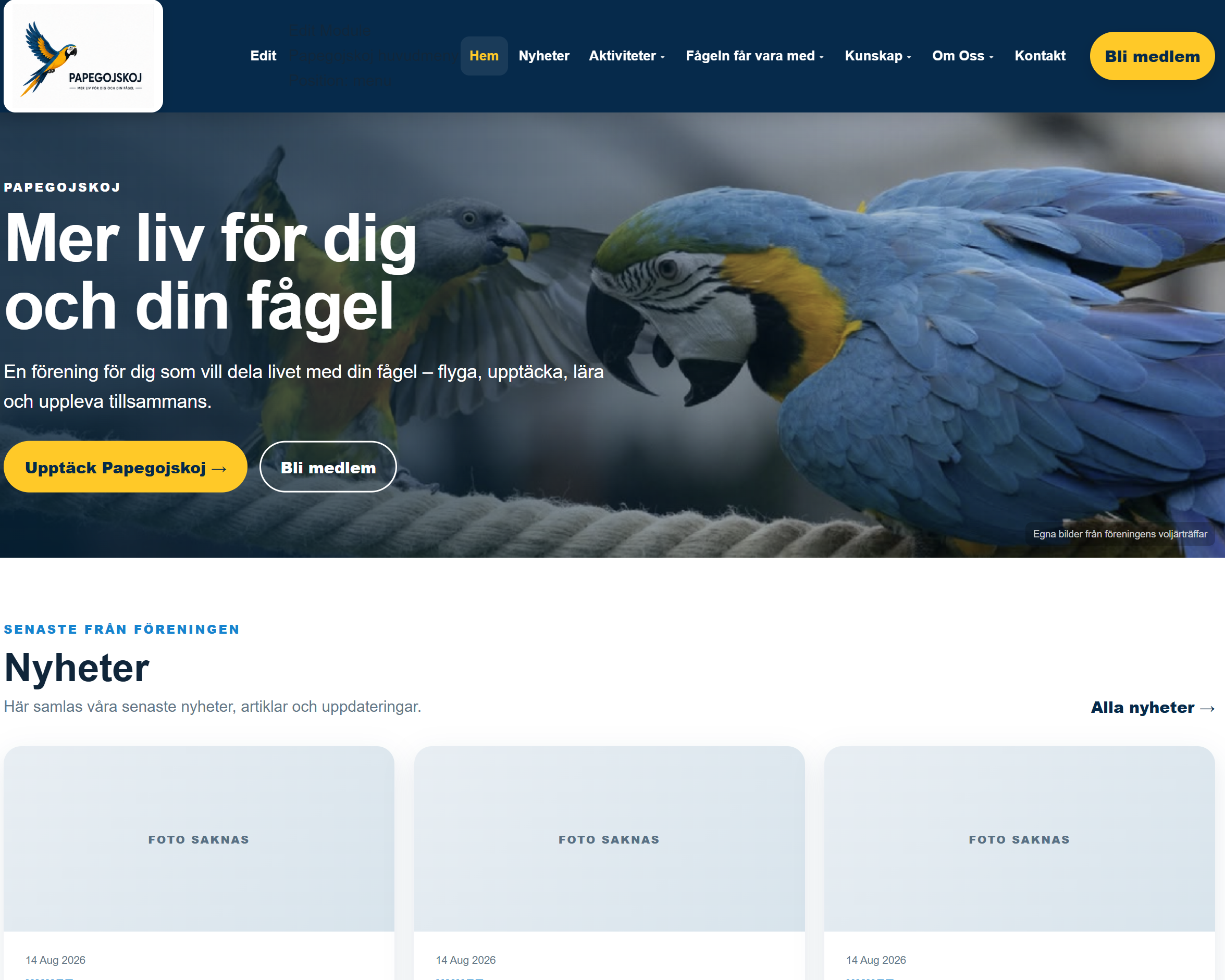 Papegojskoj börjar ta form