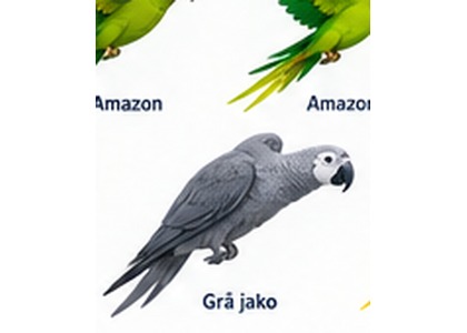 Grå jako